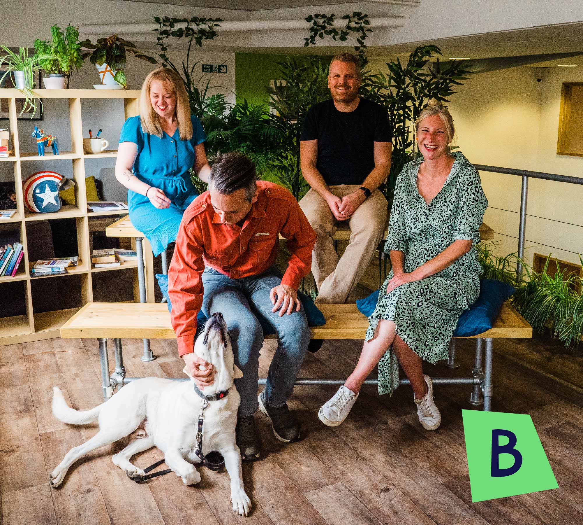 Bamboo Company Photo